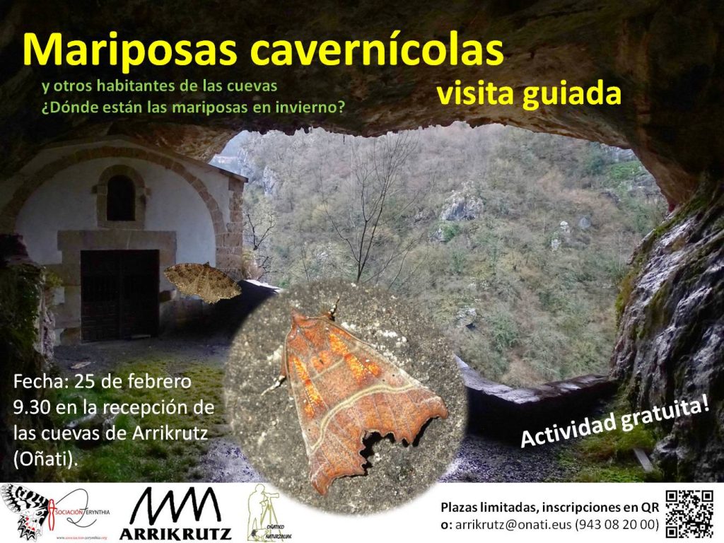 mariposas_cavernicolas